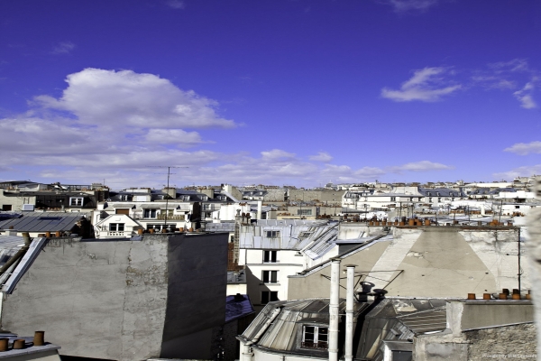 Hotel Le Chat Noir